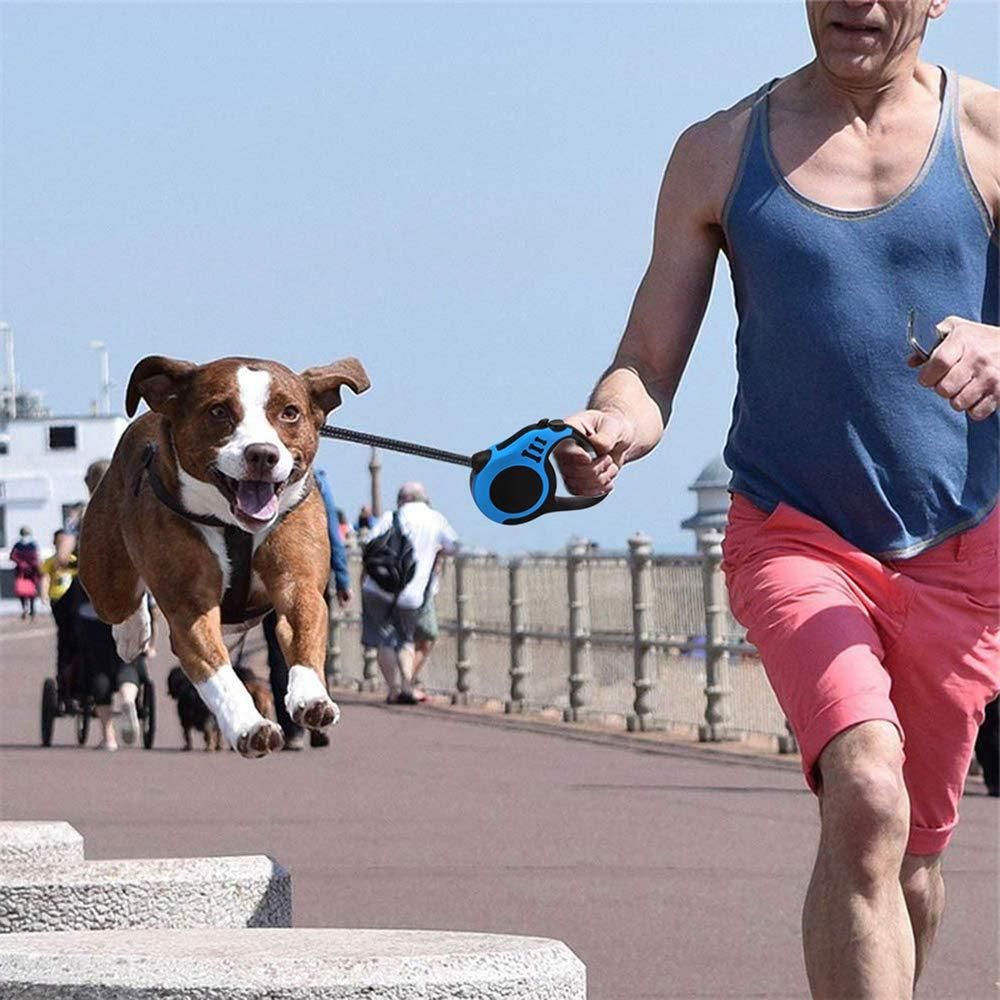5-Meter Dog & Cat Leash – Long Pet Walking Strap