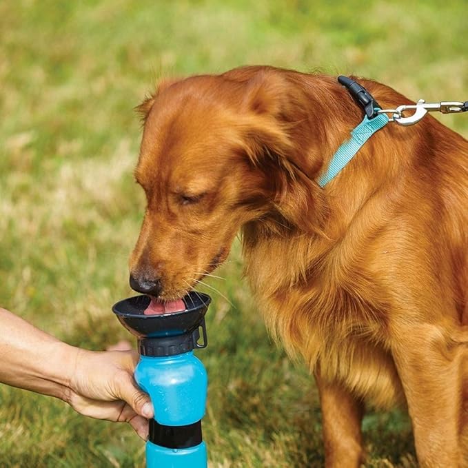 Portable Pet Water Bottle & Sipper – Travel Drinking Bowl